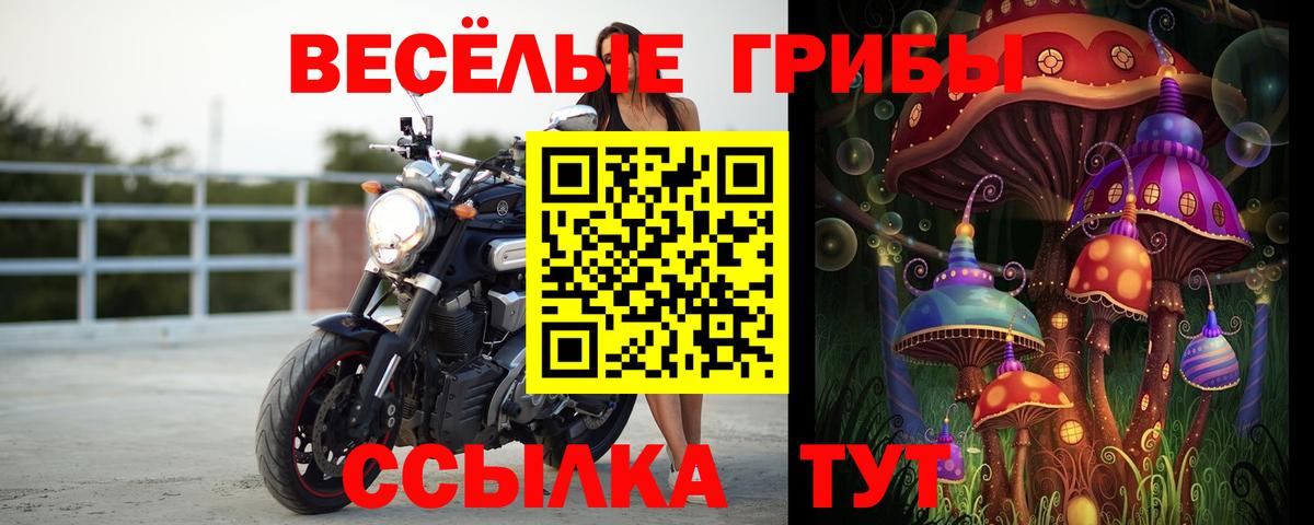 Псилоцибиновые грибы мухоморы  Вход с VPN  Бердск 